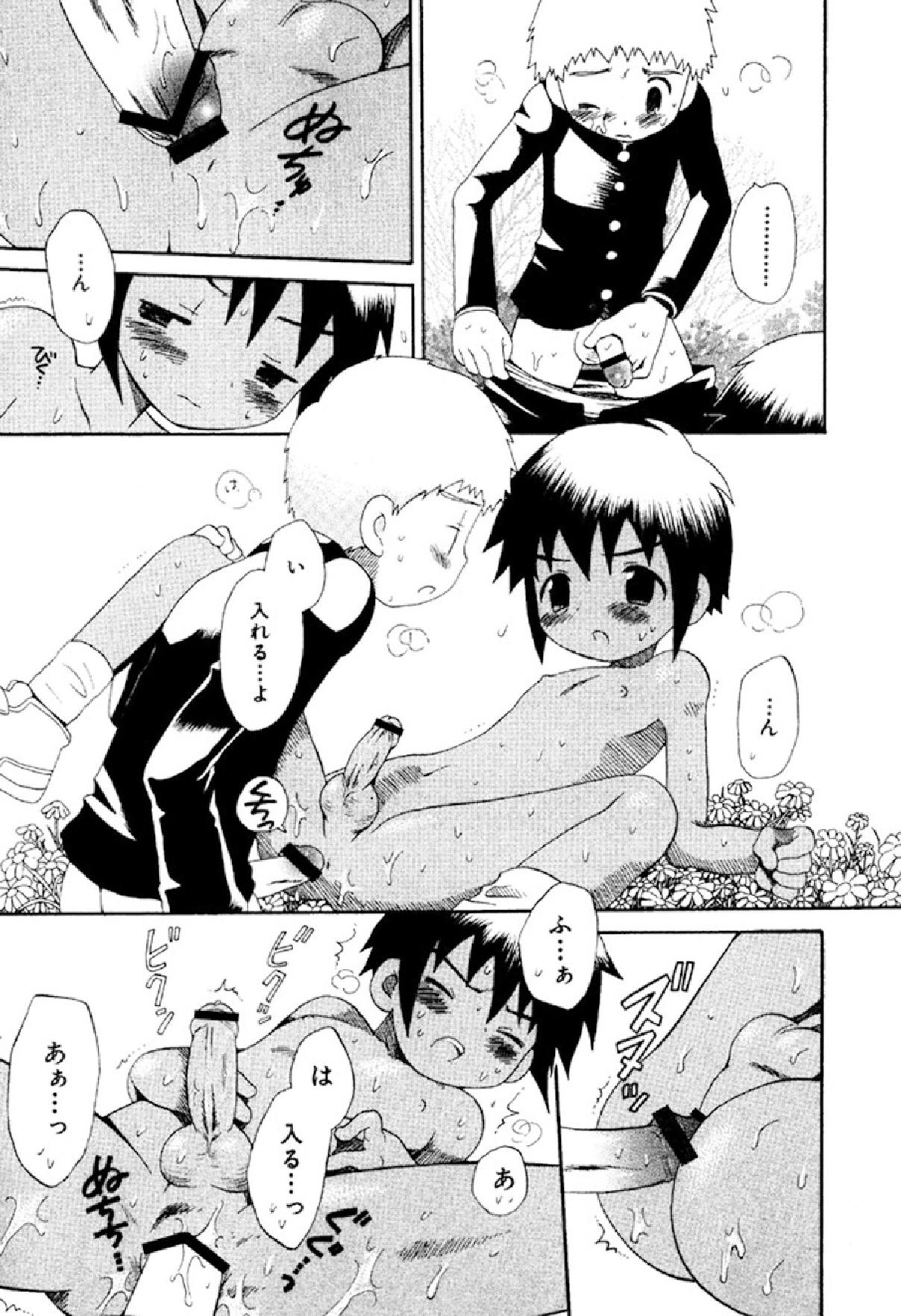 [星逢ひろ] 忘れな花畑