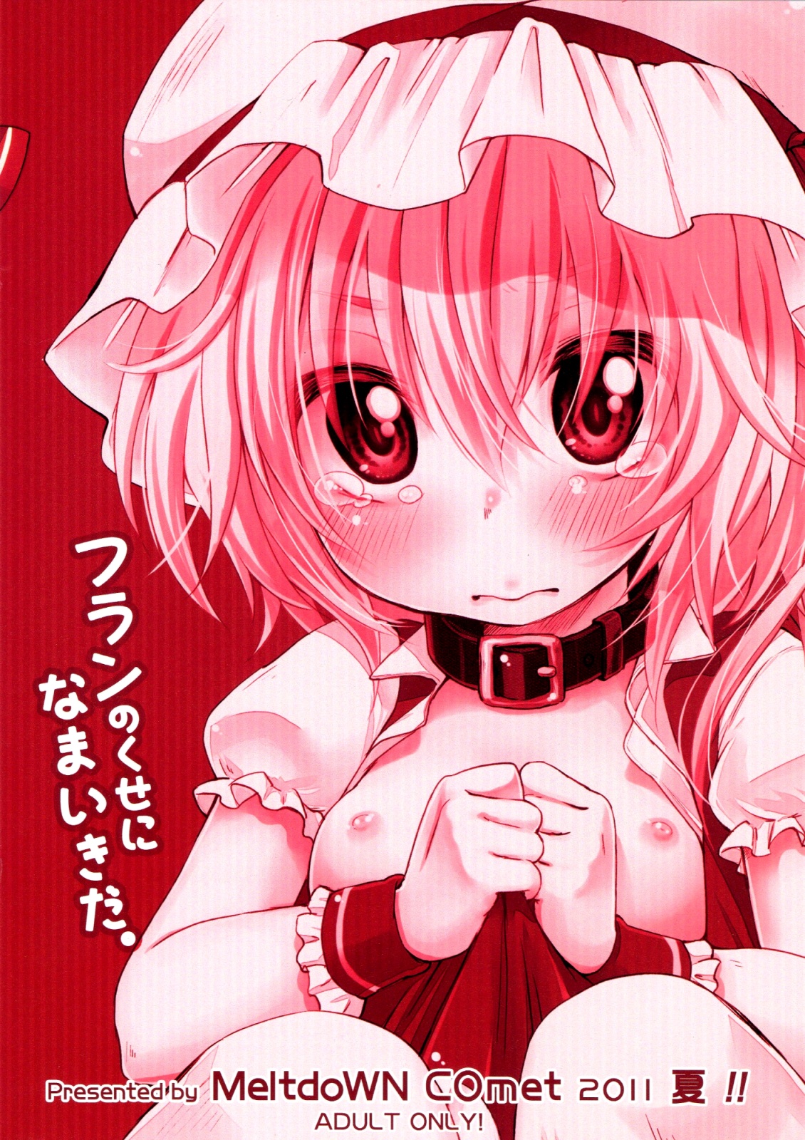 (C80) [MeltdoWN COmet (雪雨こん)] フランのくせになまいきだ。 (東方Project) [英訳]