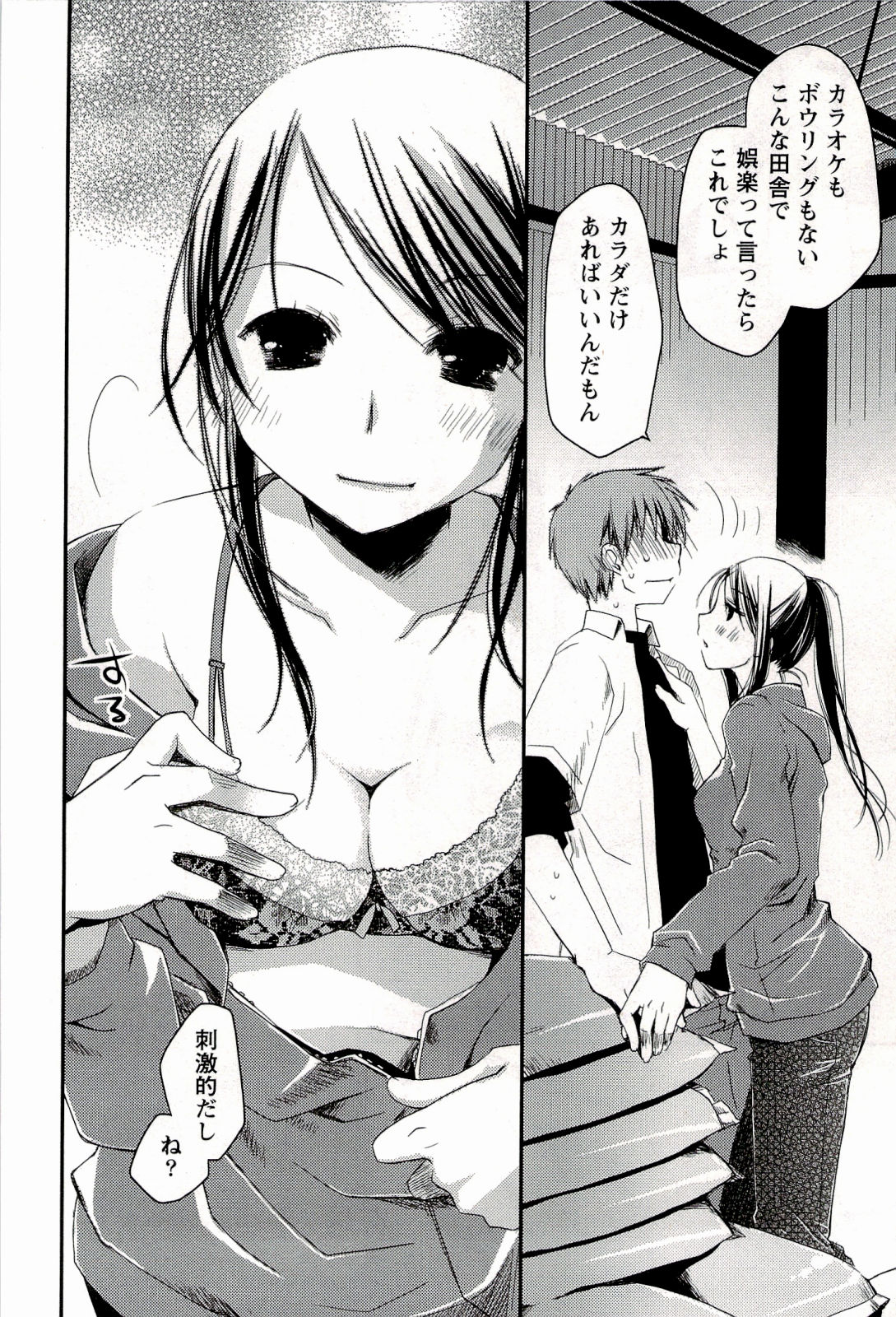 [ぽんこつわーくす] からふるはーべすと