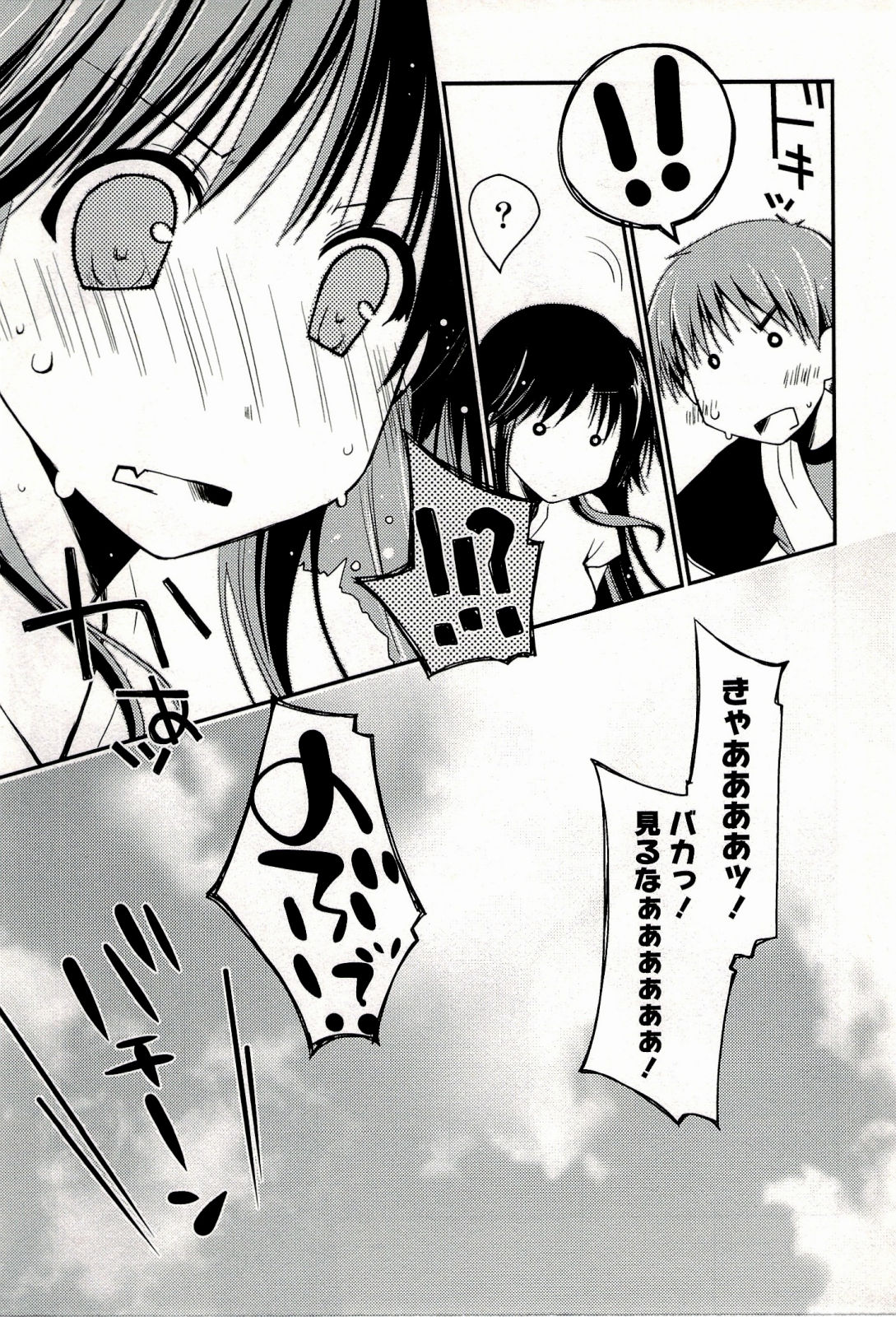 [ぽんこつわーくす] からふるはーべすと