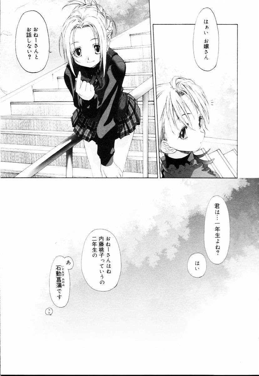 [玄鉄絢] 少女セクト + 虎の穴配布ペーパー