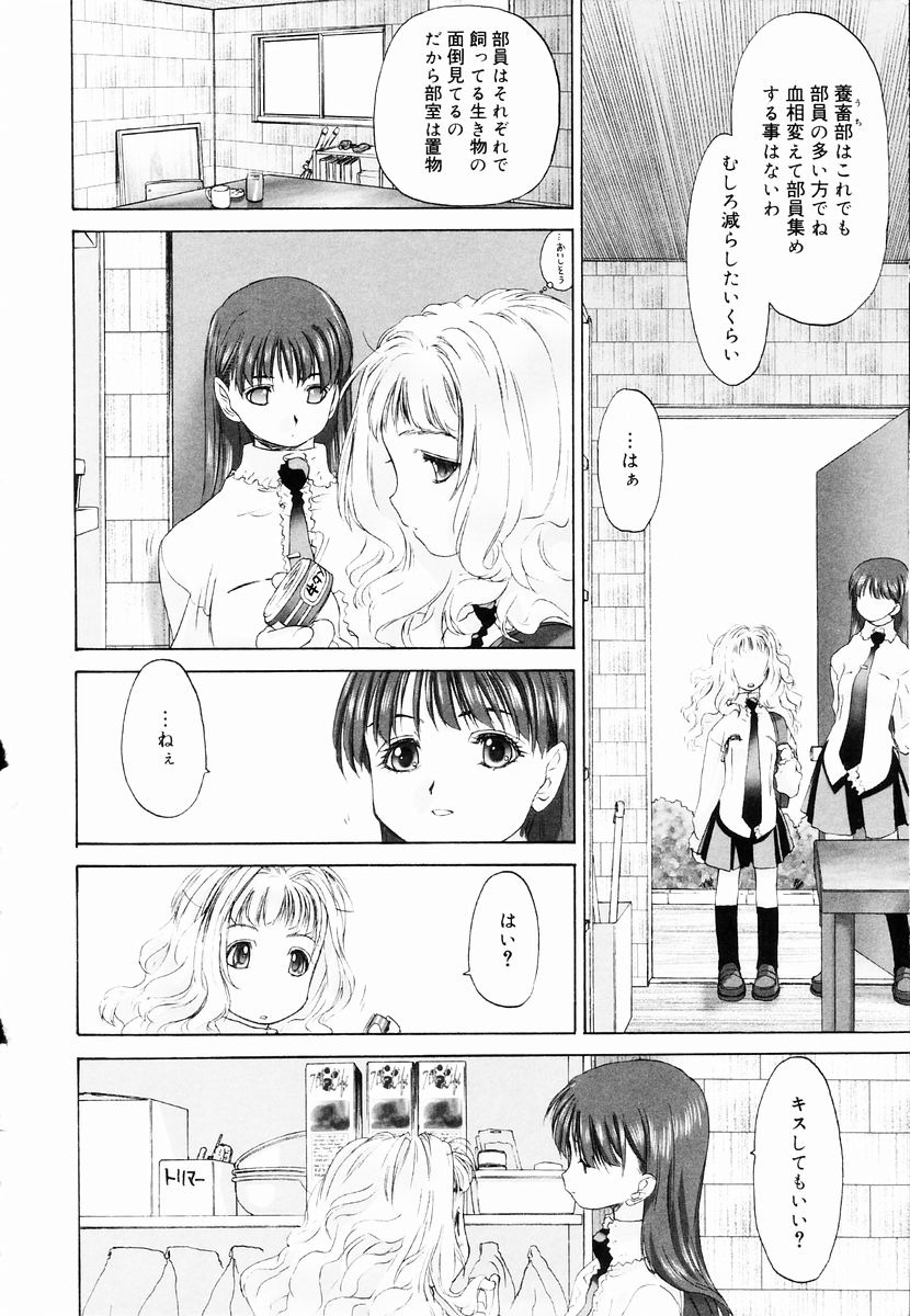 [玄鉄絢] 少女セクト + 虎の穴配布ペーパー