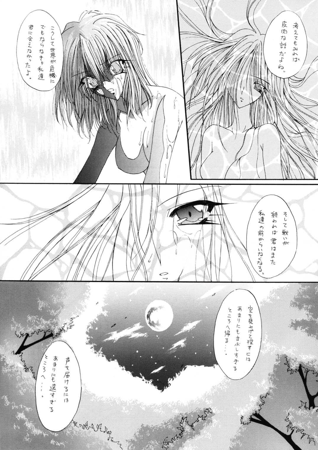 [ぱらだいすCity (のら猫長屋)] 戦乙女降臨祭 (ワルキューレの冒険 時の鍵伝説) [DL版]