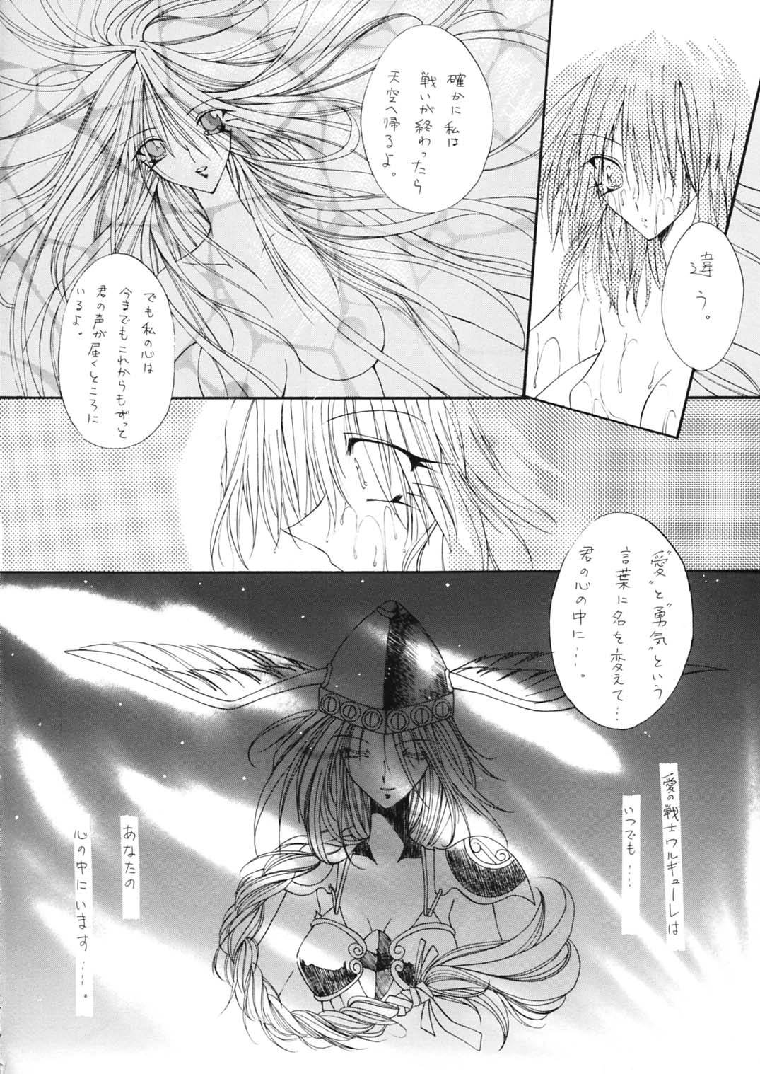 [ぱらだいすCity (のら猫長屋)] 戦乙女降臨祭 (ワルキューレの冒険 時の鍵伝説) [DL版]