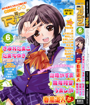 COMIC RiN 2011年6月号 COMIC RiN 2011年6月号