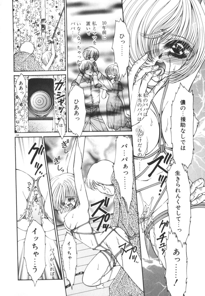 [上杉陽子] 眠れない夜の小鳥