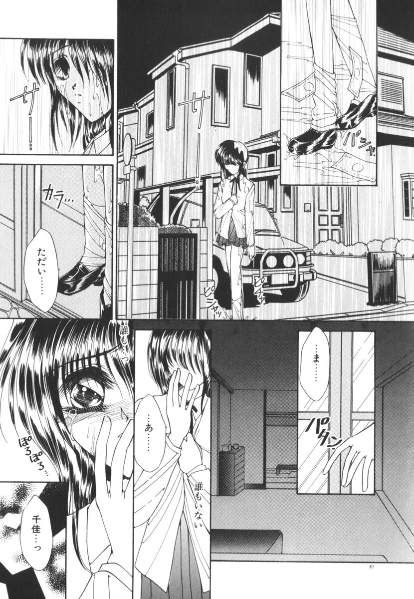 [上杉陽子] 眠れない夜の小鳥