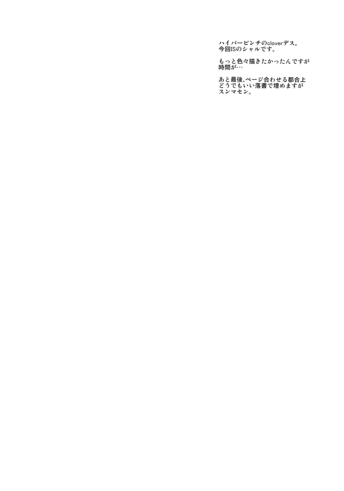 (COMIC1☆5) [ハイパーピンチ (clover)] 朝na夕naヤリっぱ (IS＜インフィニット・ストラトス＞)