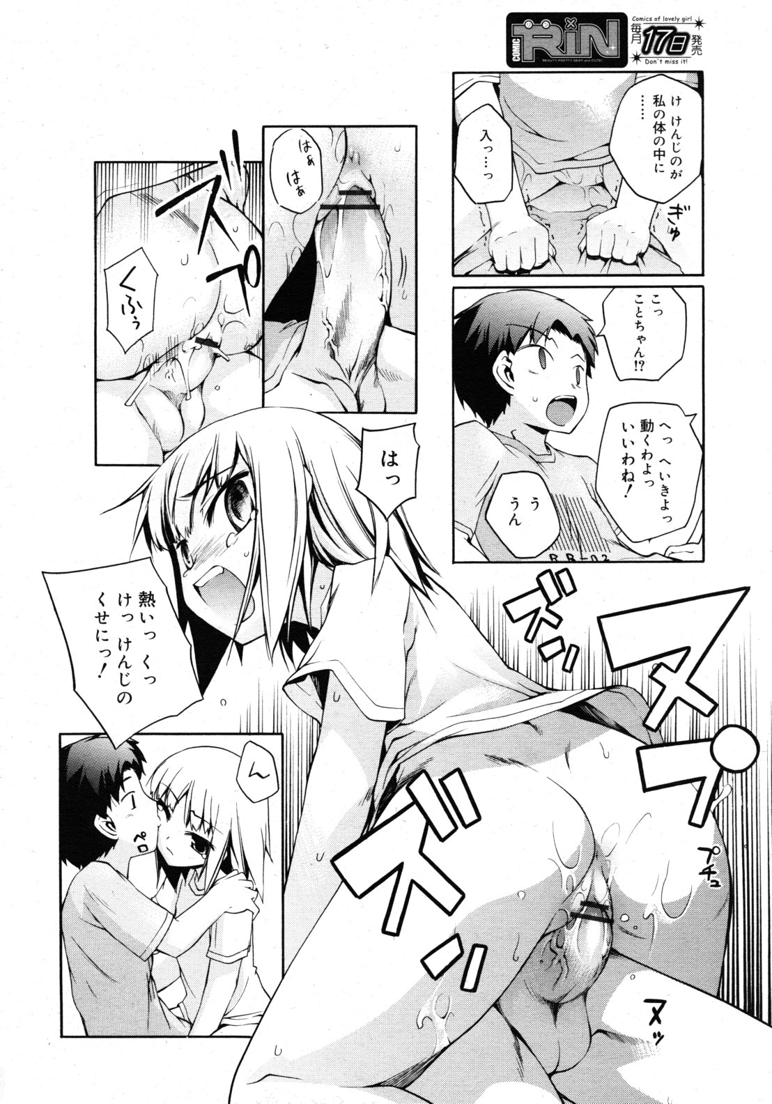 [雑誌] COMIC RiN 2010年11月号