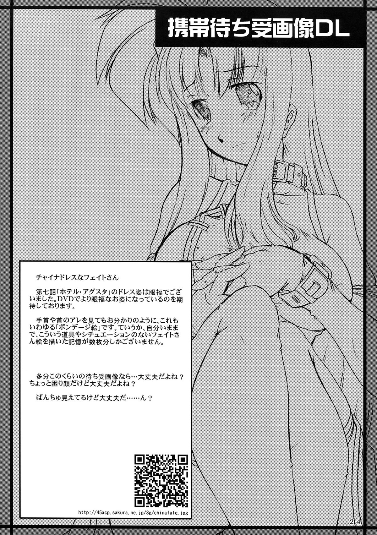 (C72) (同人誌) [WARP商会 (45ACP)] 海鳴要塞 2007 (魔法少女リリカルなのは)