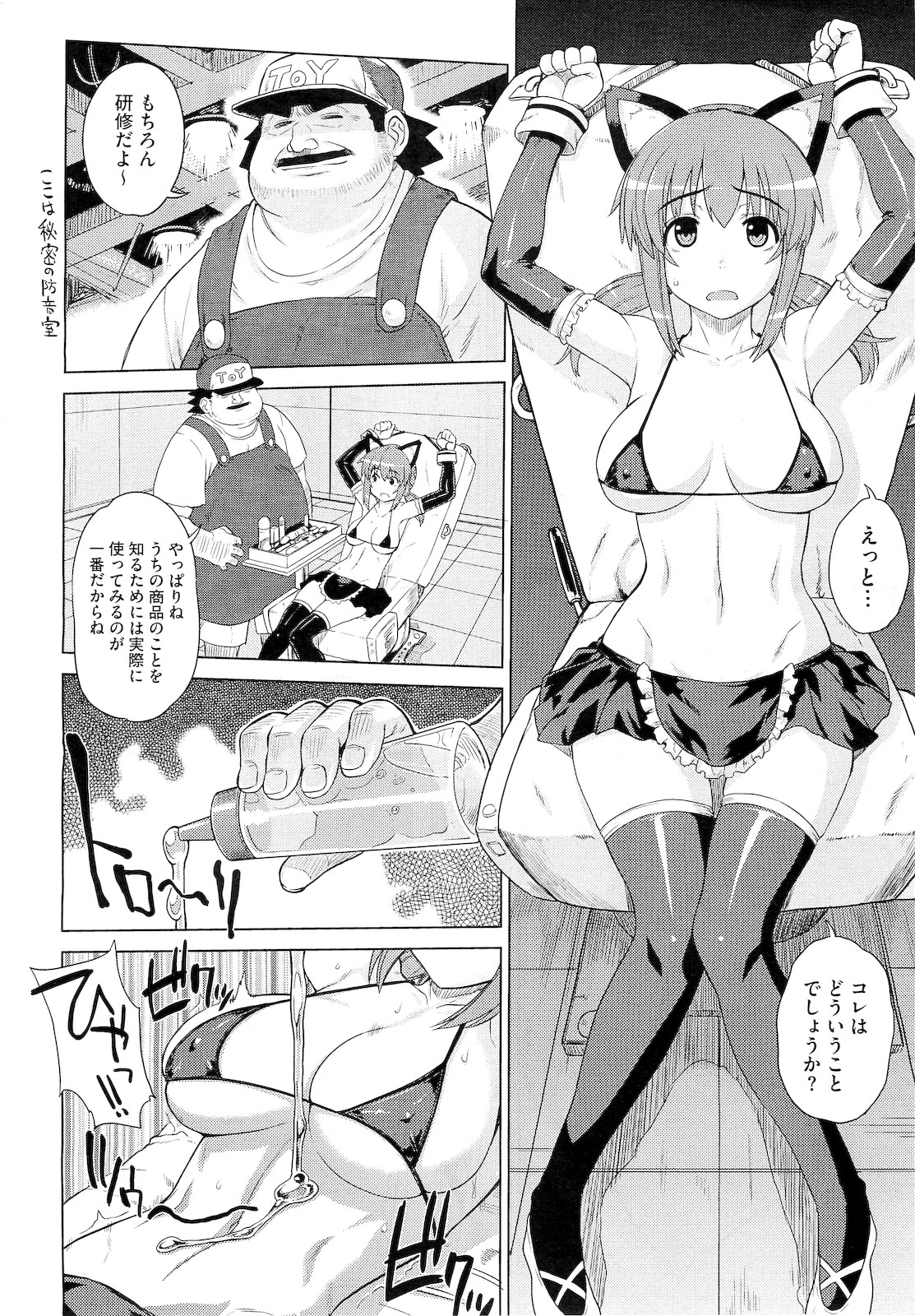 コミックメガストア 2010年12月号