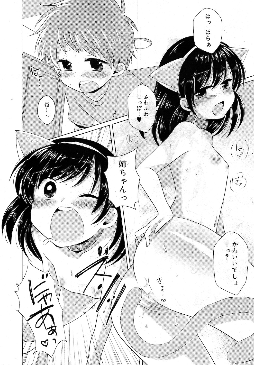 COMIC RiN 2010年11月号