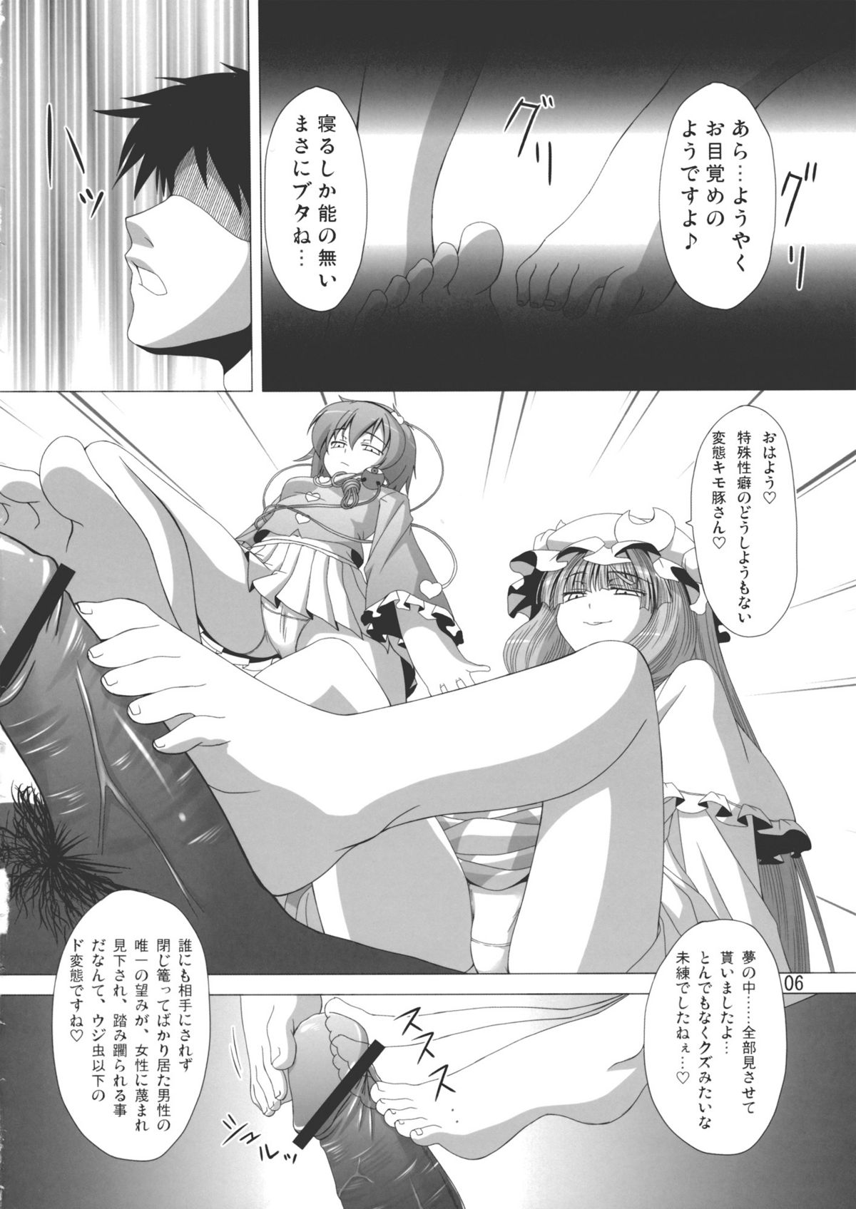 (C79) [響輝 (胃がん星人)] ぱちゅ＋さとにジト目で見下される本 (東方Project)
