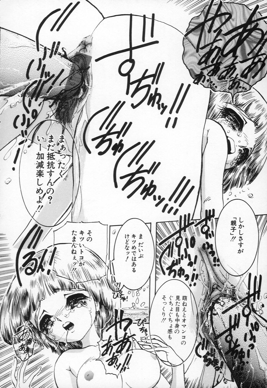 [ちぇびい ぎゃんぐ] 妖精少女