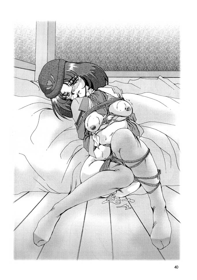 (Cレヴォ21) [ぱるぷんて (深田拓士)] F-29 (勇者王ガオガイガー、キューティーハニー)