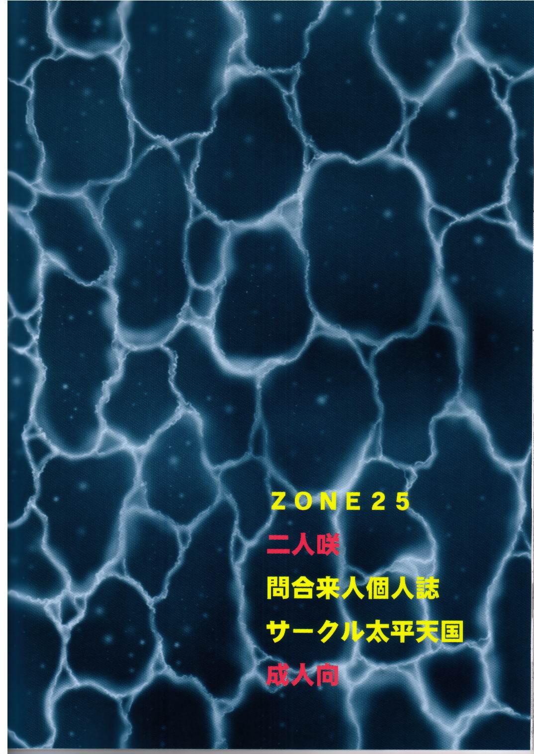 (C65) [サークル太平天国 (間合来人)] ZONE 25 二人咲 (ワンピース)
