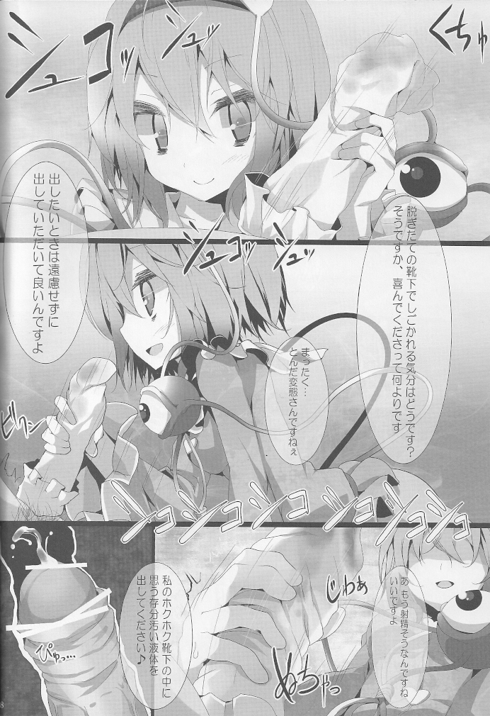 (紅楼夢6) [嘘つき屋 (大嘘)] 東方靴下本5 (東方Project)