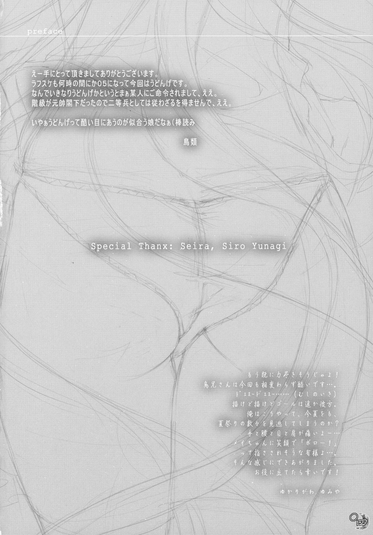 (C78) [キネトスコープ (鳥類, ゆかりがわ弓夜)] Kinetoscope Rough Sketch 05 (東方Project)