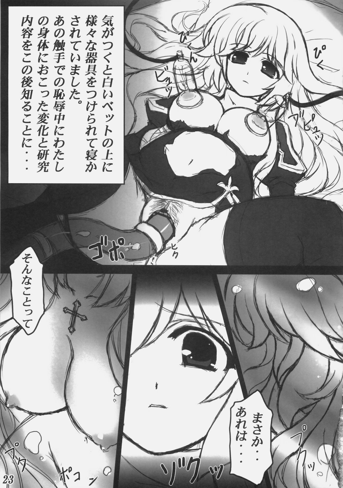 (C78) [ユーカリハウス (瑞稀桜花)] Rebirth Project (ラグナロクオンライン)