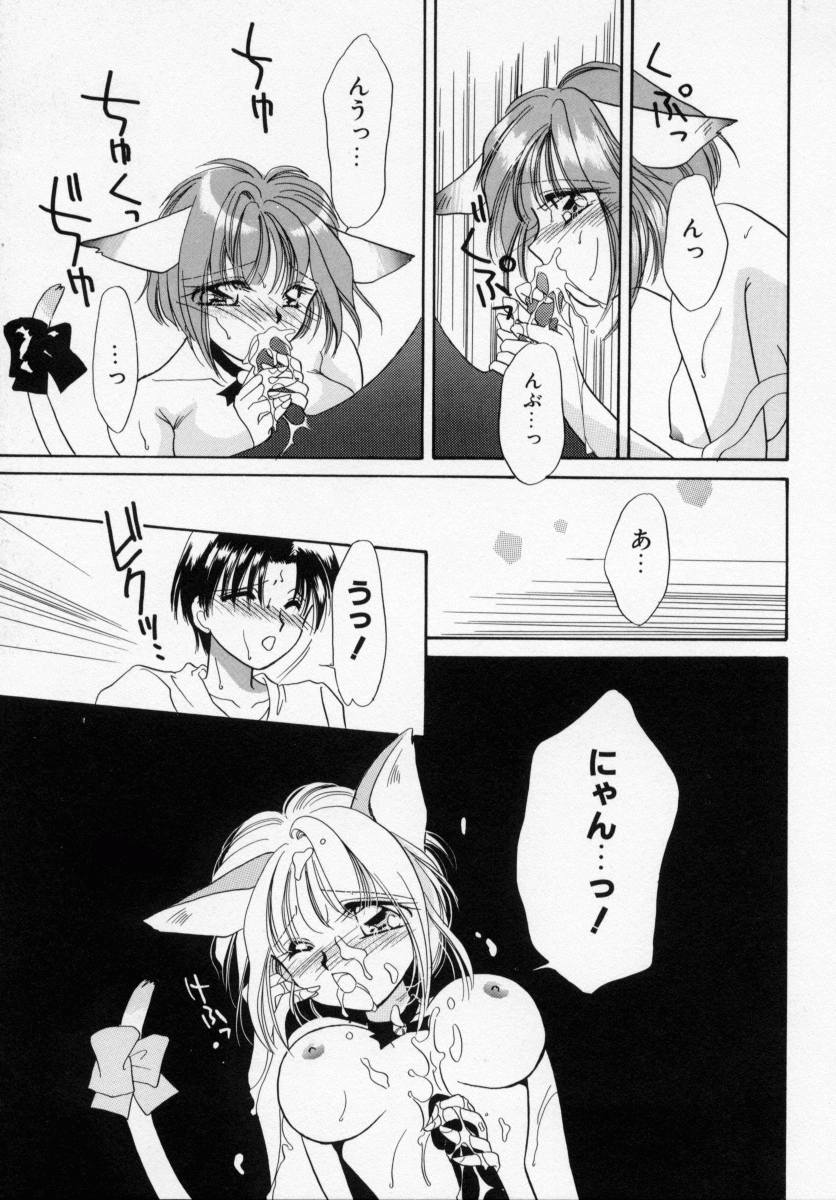 [石原歌織] ANGÉLIQUE