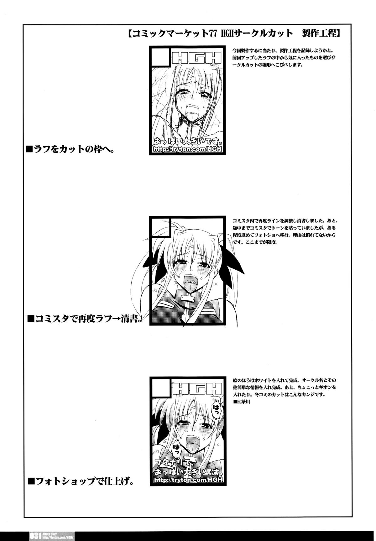 (C77) [HGH (HG茶川)] PG#20 センシノヒメゴト (魔法少女リリカルなのは)