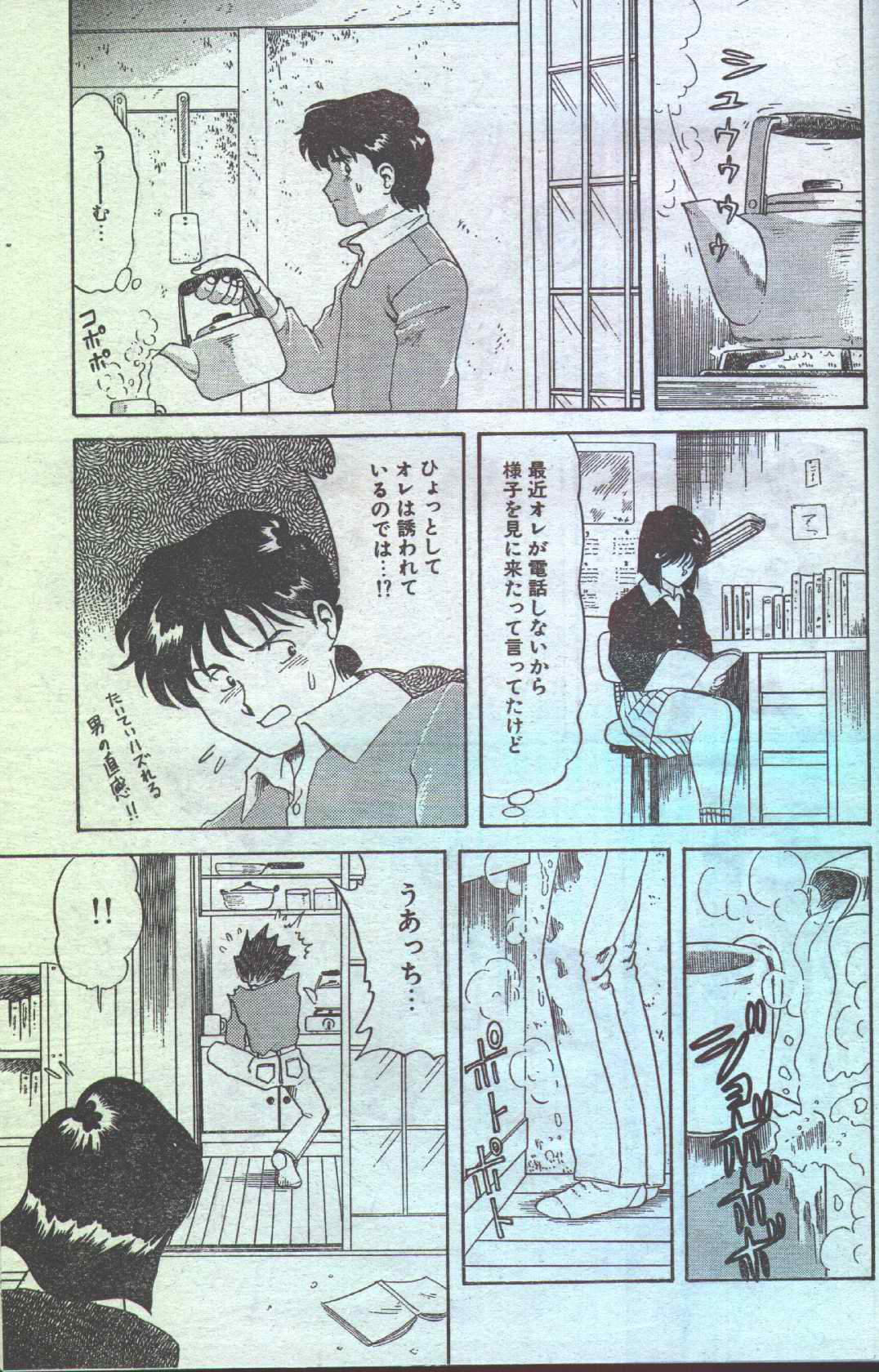 コットンコミック 1994年04月号 [不完全]