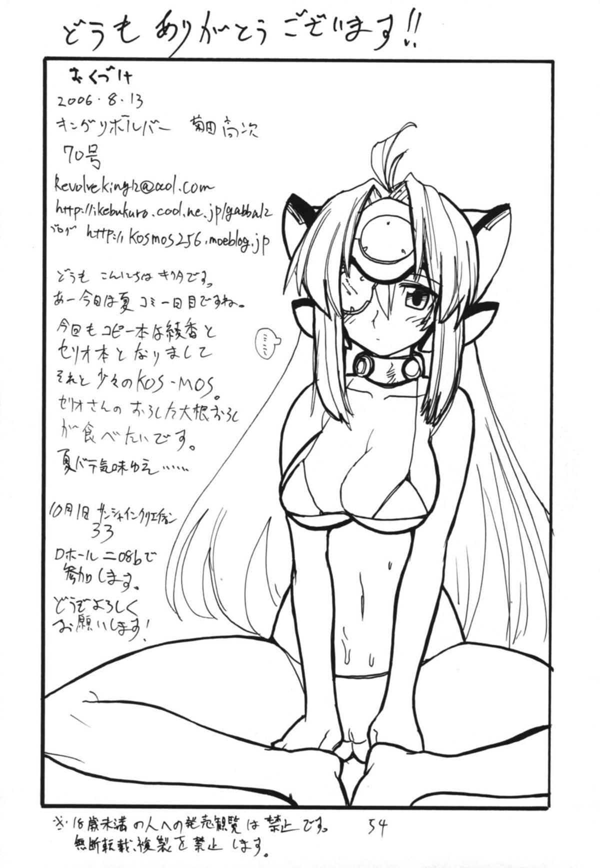 (C71) [キングリボルバー (菊田高次)] コピー本総集編不完全 (サモンナイト)