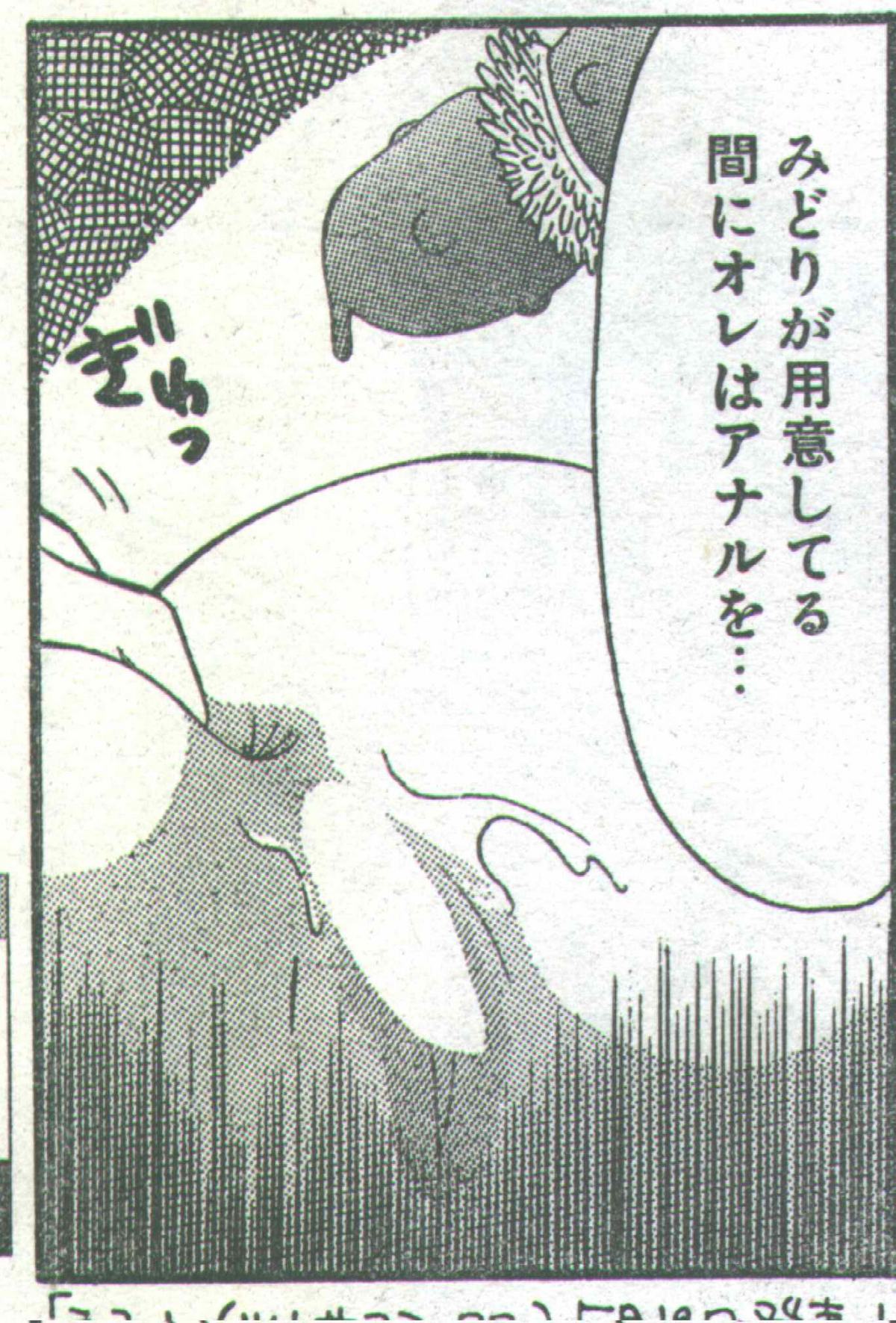 コットンコミック 1994年06月号 [不完全]