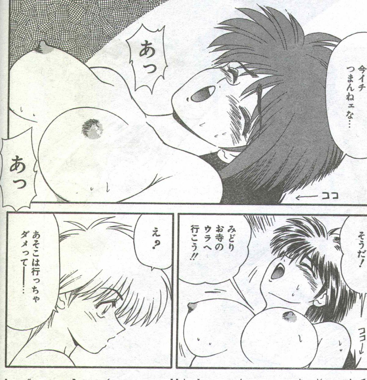 コットンコミック 1994年06月号 [不完全]