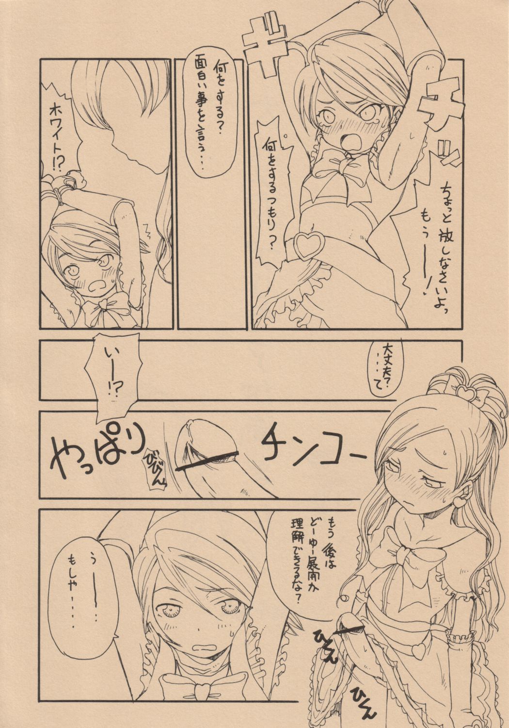 (C66) [昇龍亭 (昇龍亭圓楽)] 黒と白 (ふたりはプリキュア)
