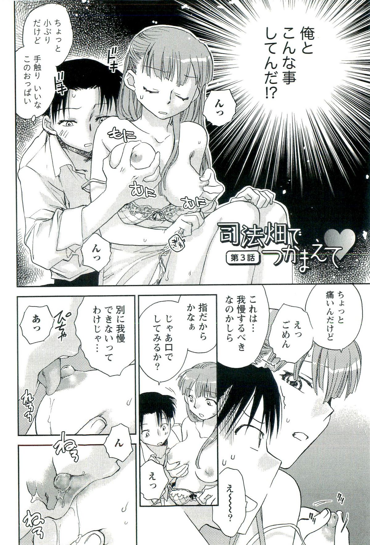 [陸乃家鴨] 司法畑でつかまえて♥