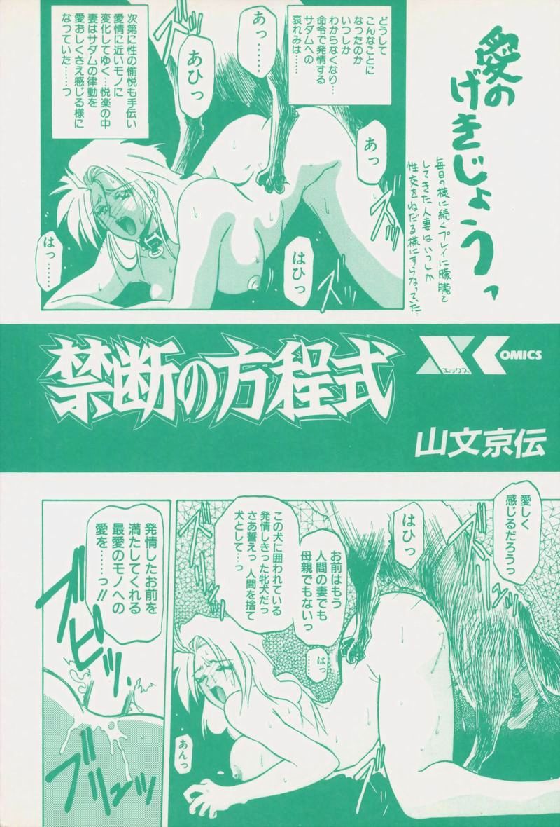 [山文京伝] 禁断の方程式
