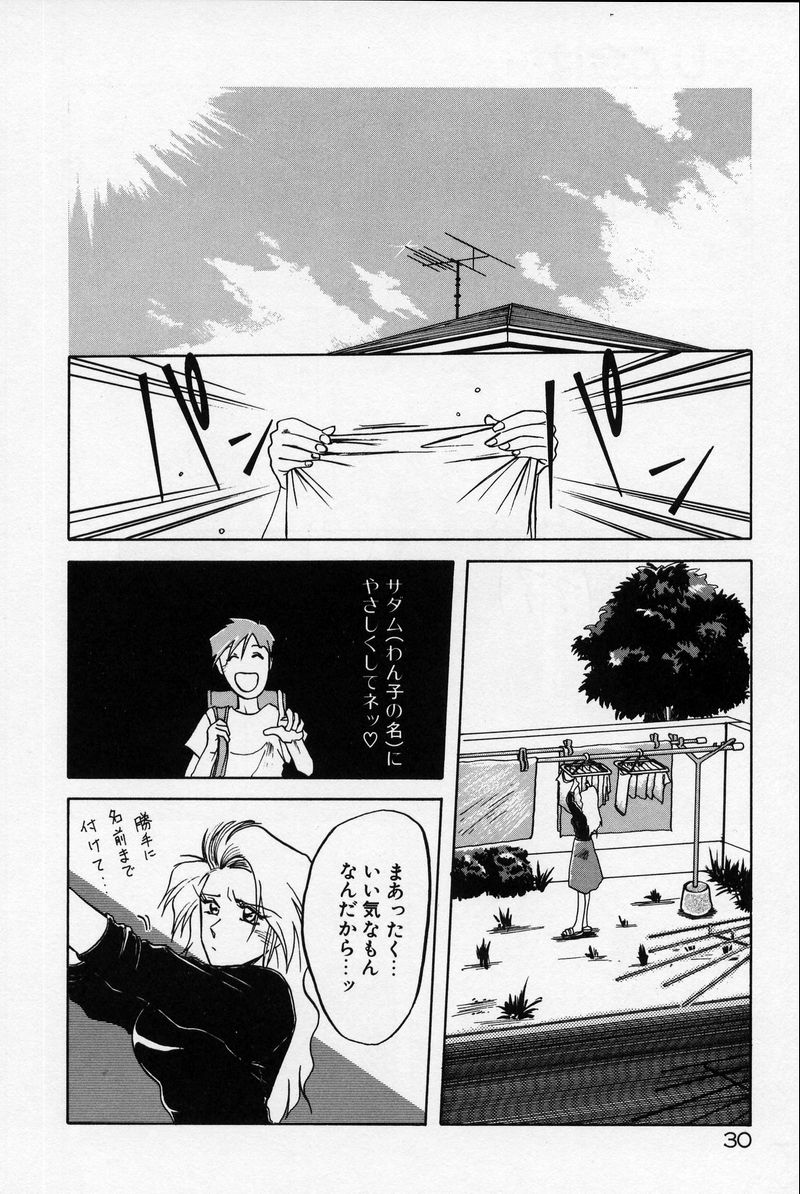 [山文京伝] 禁断の方程式