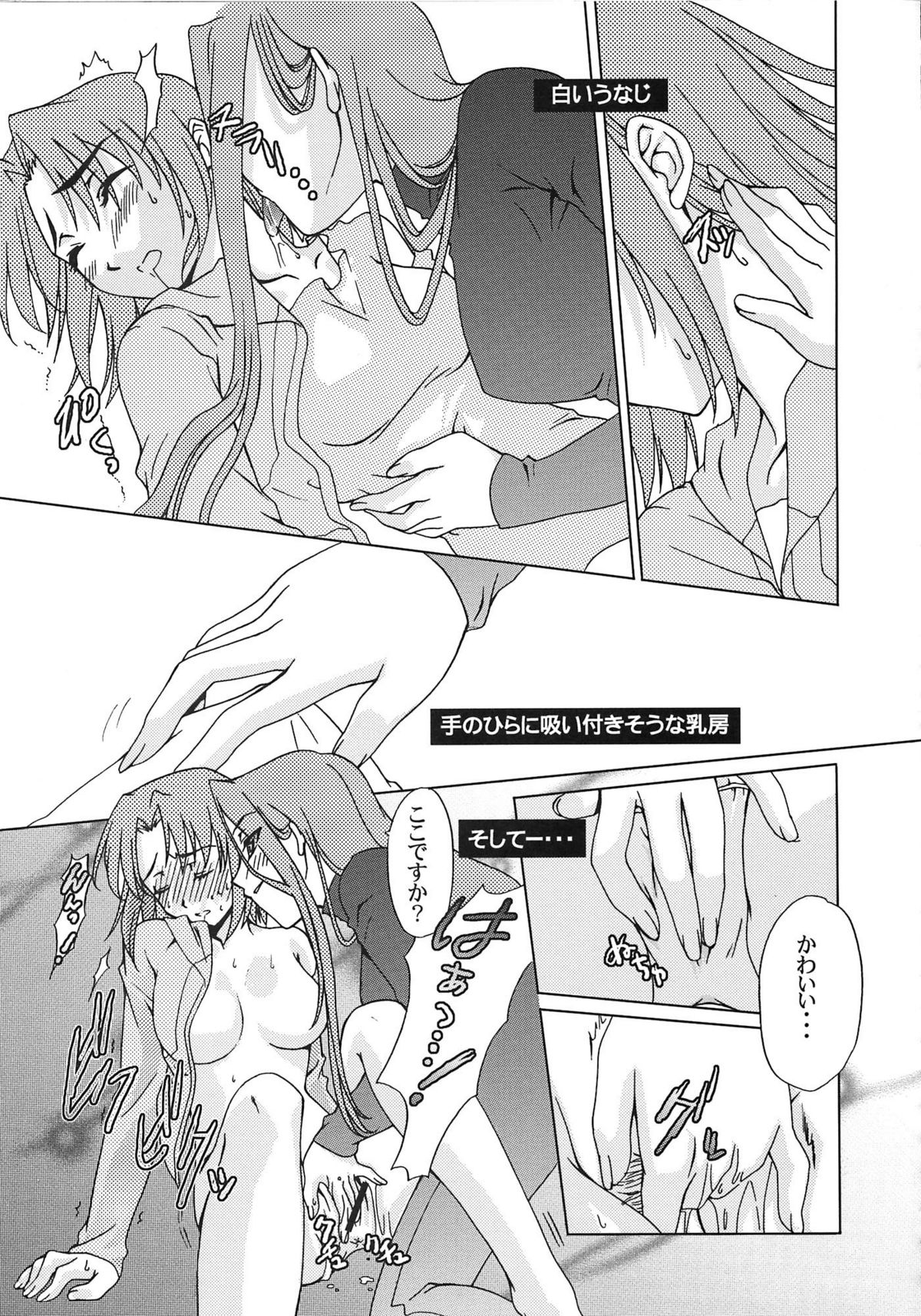 [A-ZONE制作委員会 (よろず)] A-ZONEへようこそ! (月姬、Fate/stay night)