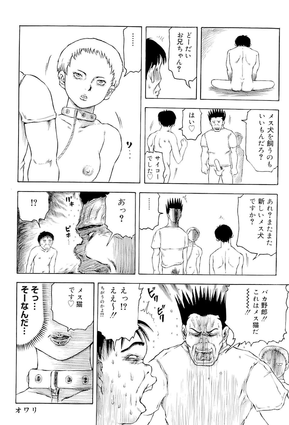 [甲賀三郎] SUMMER FLOWER