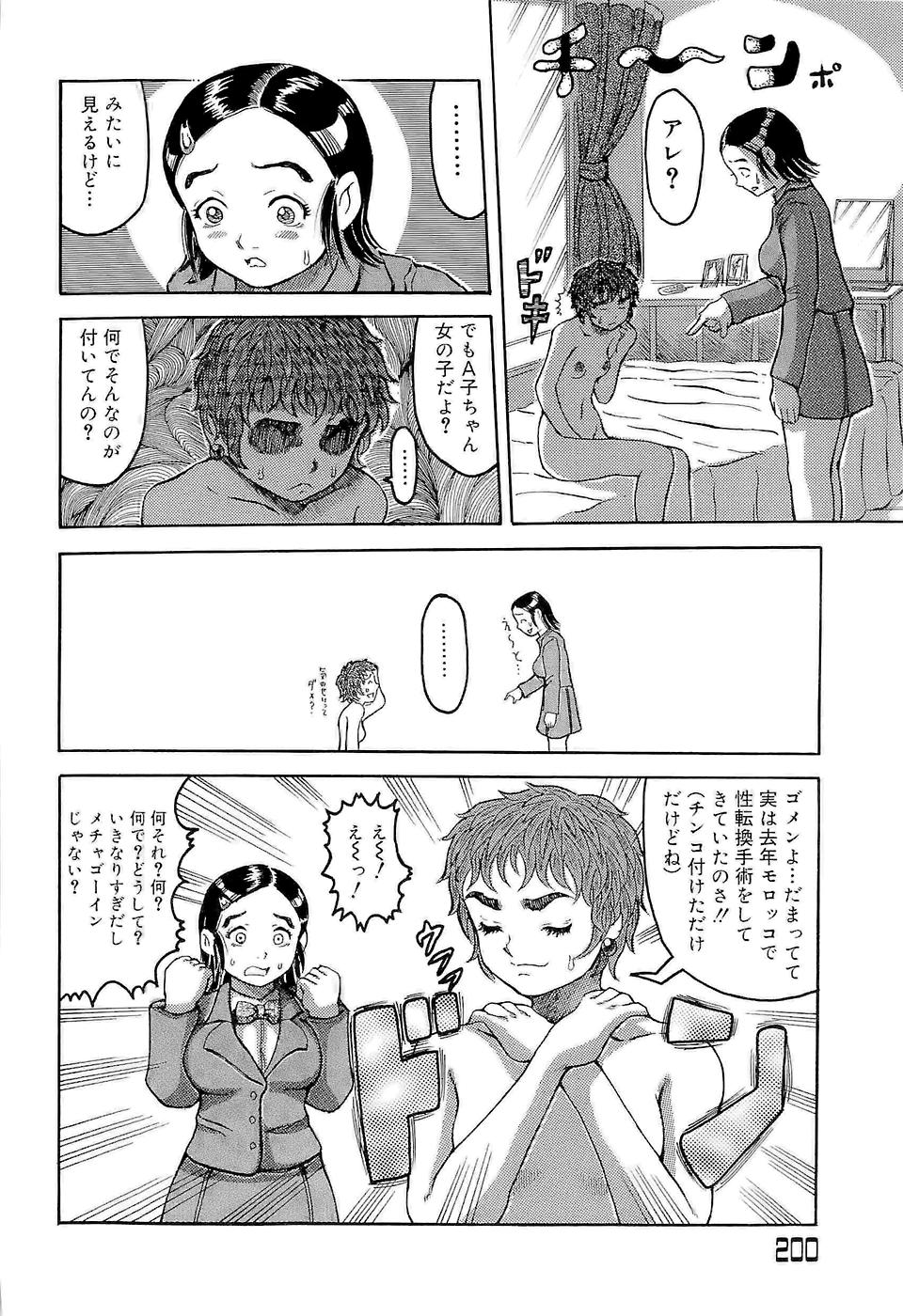 [甲賀三郎] SUMMER FLOWER