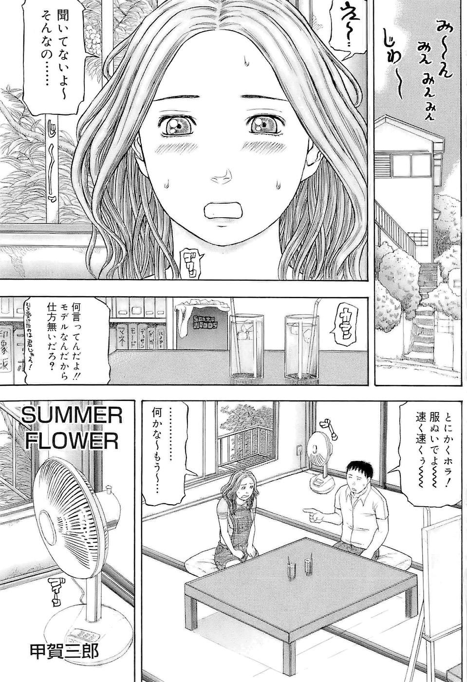 [甲賀三郎] SUMMER FLOWER