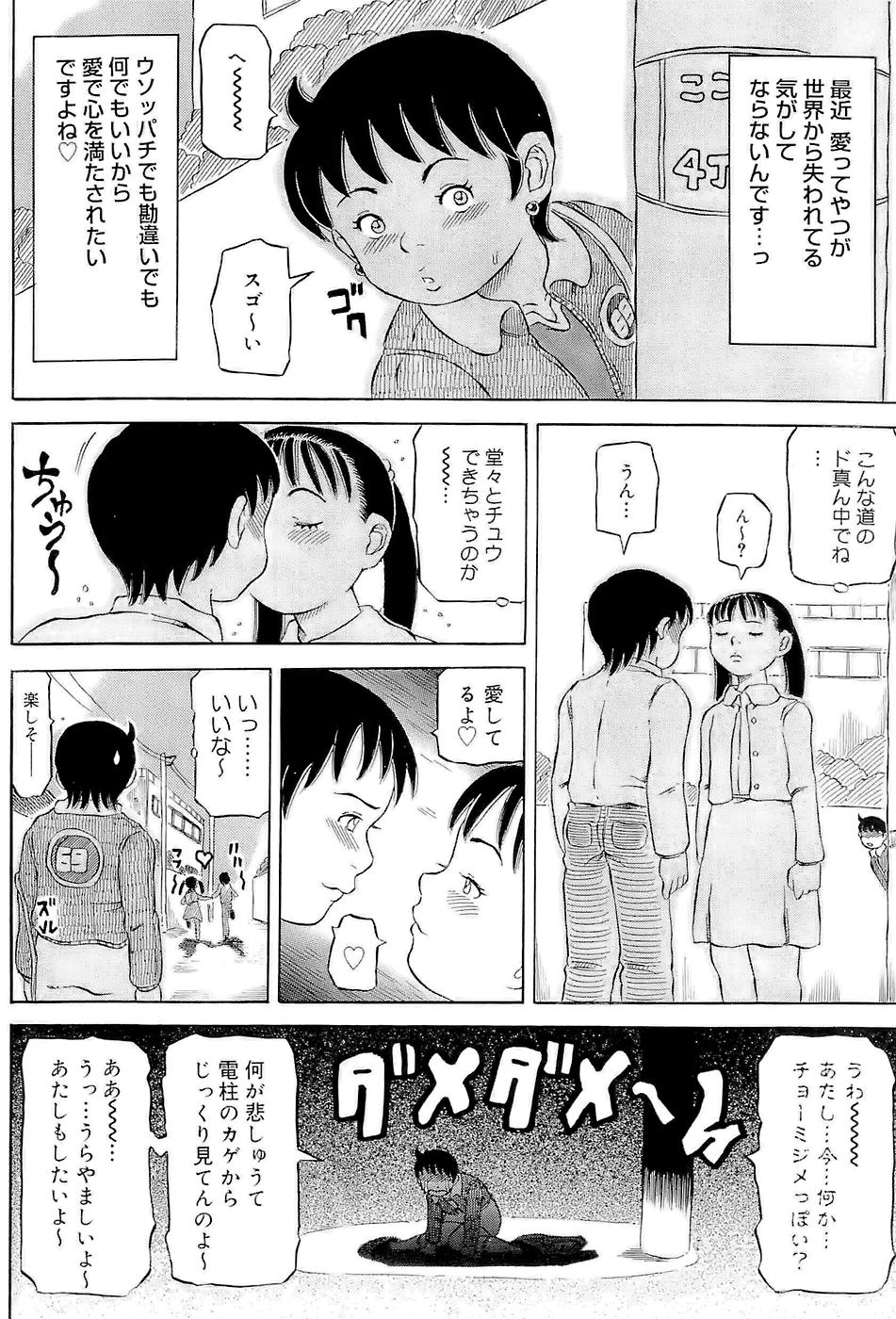 [甲賀三郎] SUMMER FLOWER