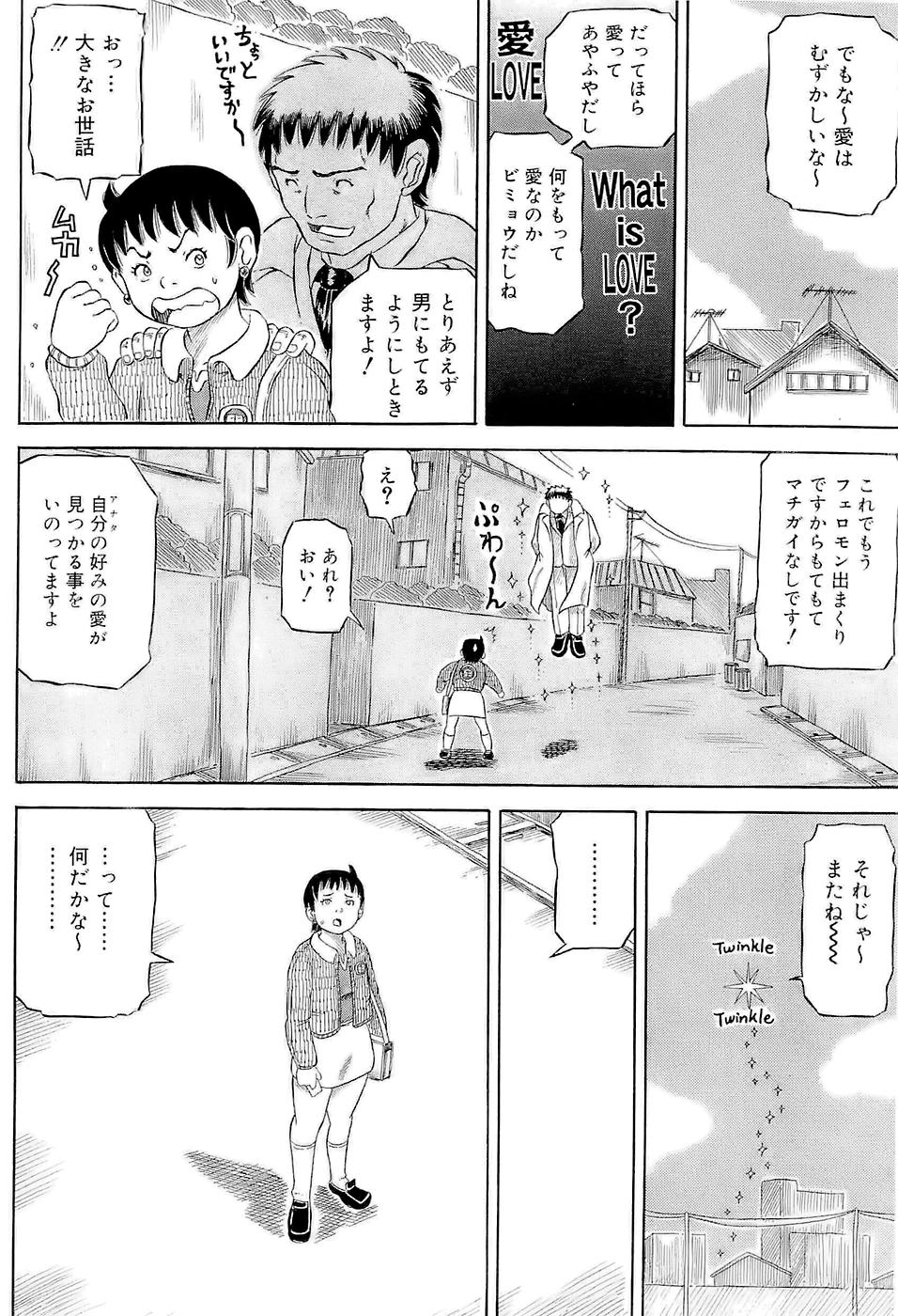 [甲賀三郎] SUMMER FLOWER