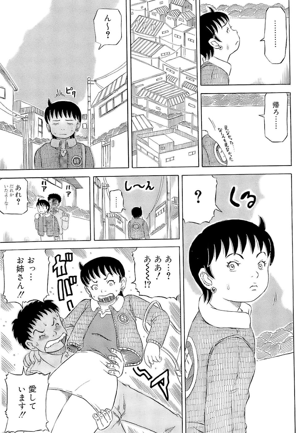 [甲賀三郎] SUMMER FLOWER