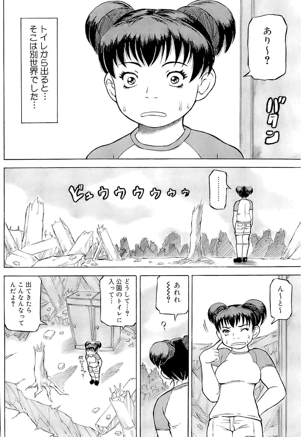 [甲賀三郎] SUMMER FLOWER