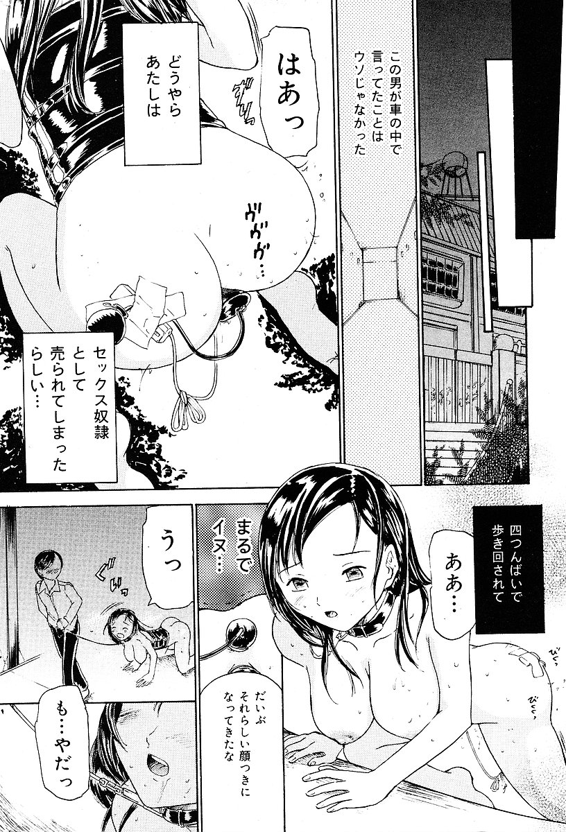 COMIC Mate 2005年1月号