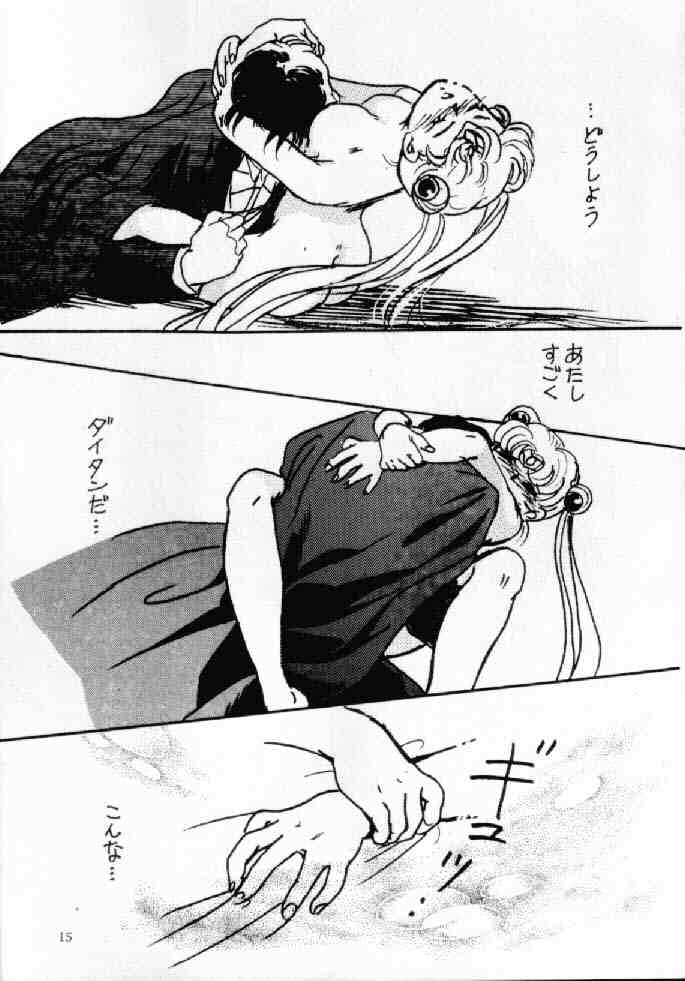(C42) [うさまるBRAND (うさまる桃子)] えっちあだると (美少女戦士セーラームーン)