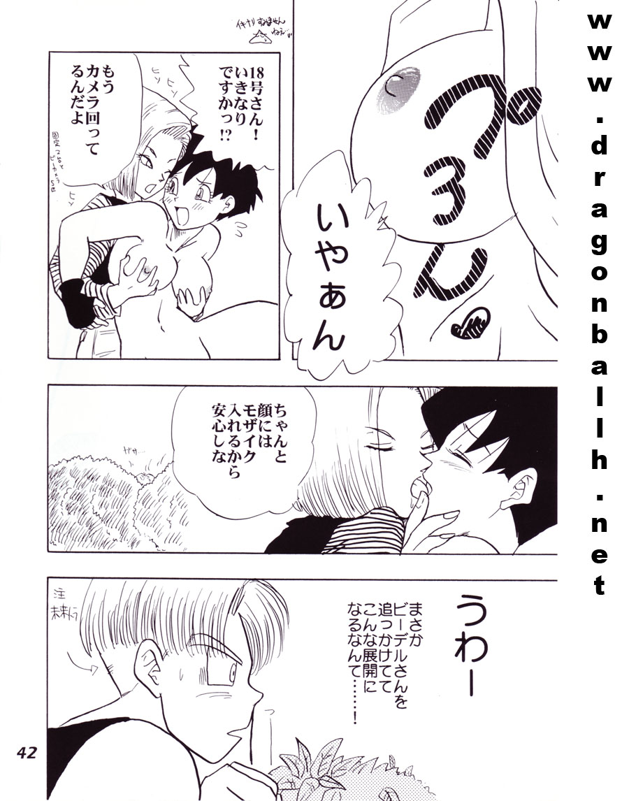(C52) [ふすま御殿 (障子張子)] 色鰐 (ドラゴンボールZ)
