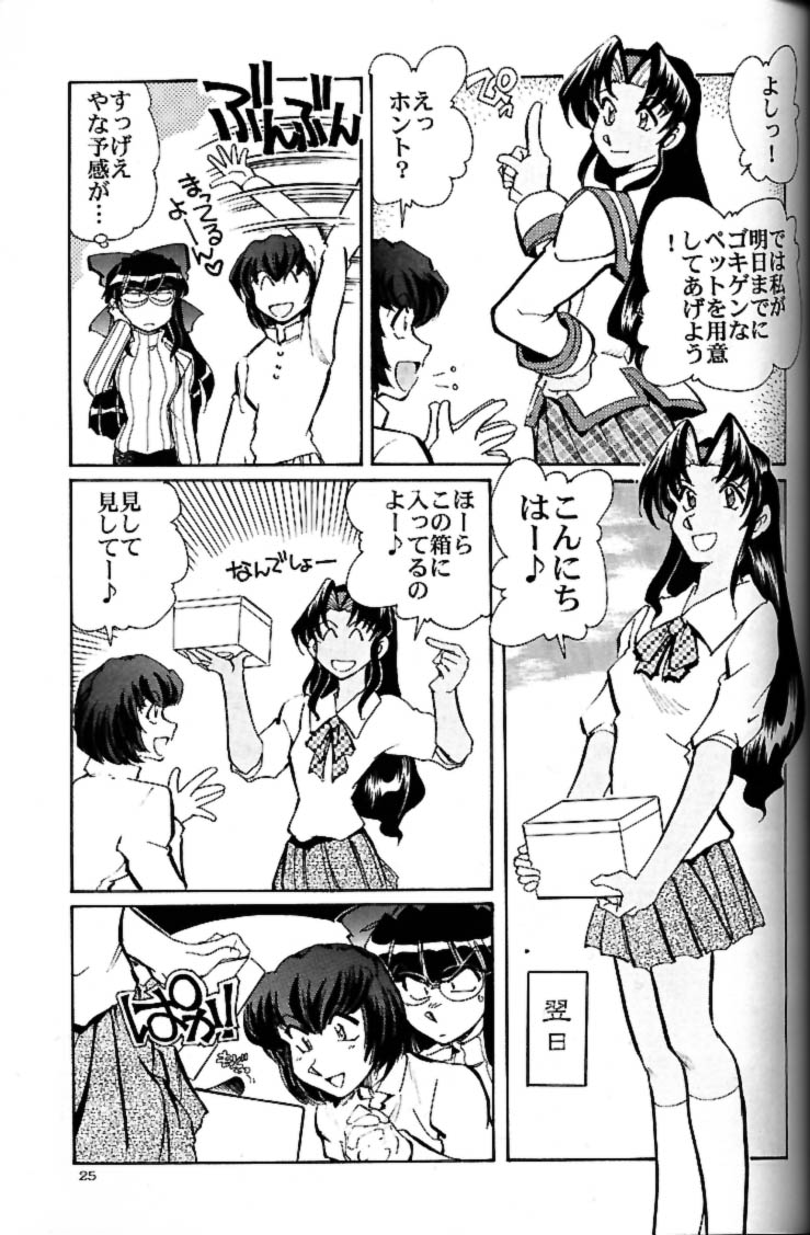 (Cレヴォ30) [甲冑娘 (司淳)] 私立三絃堂学園 赤点號 (サムライスピリッツ)