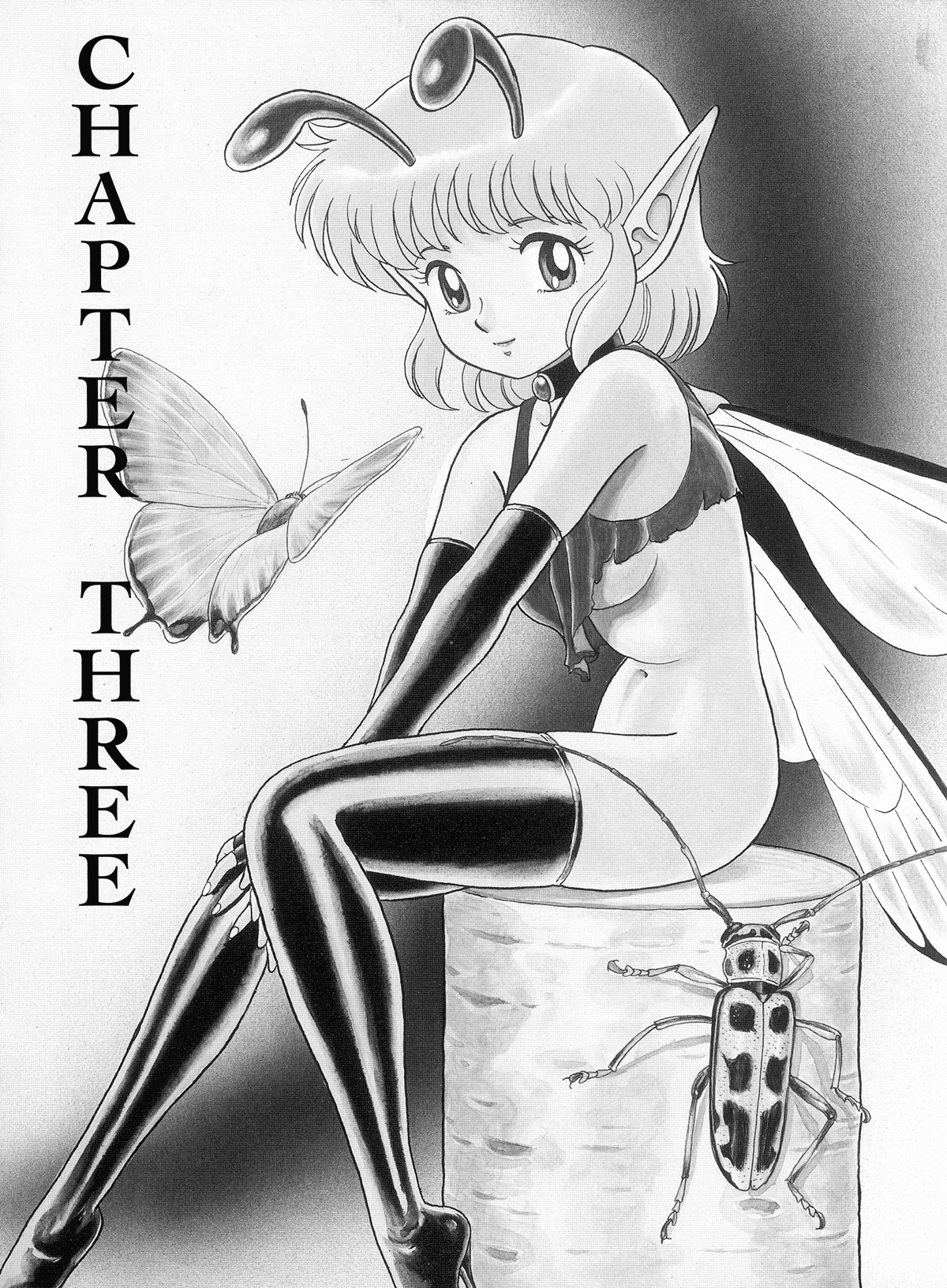 【コンドム】オリジナルボンデージフェアリー。ブック2。 [英語]