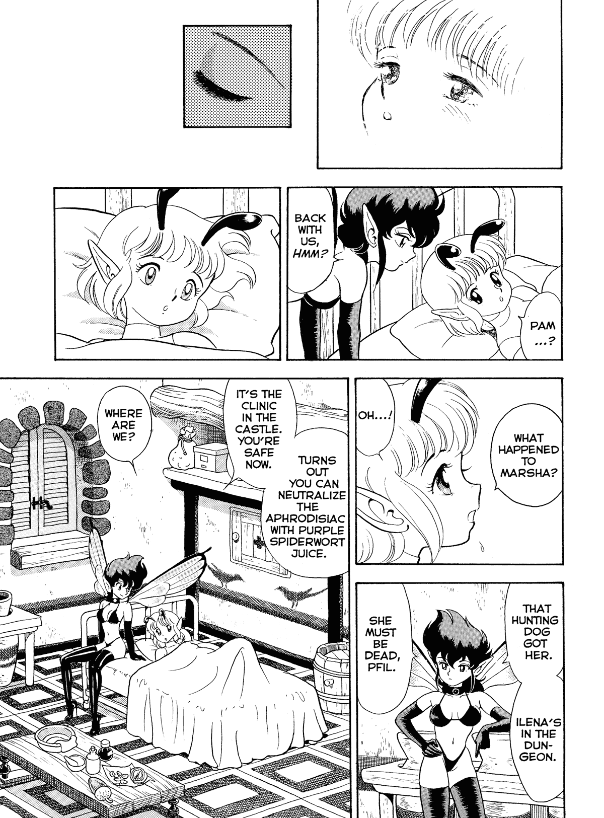 【コンドム】オリジナルボンデージフェアリー。ブック2。 [英語]