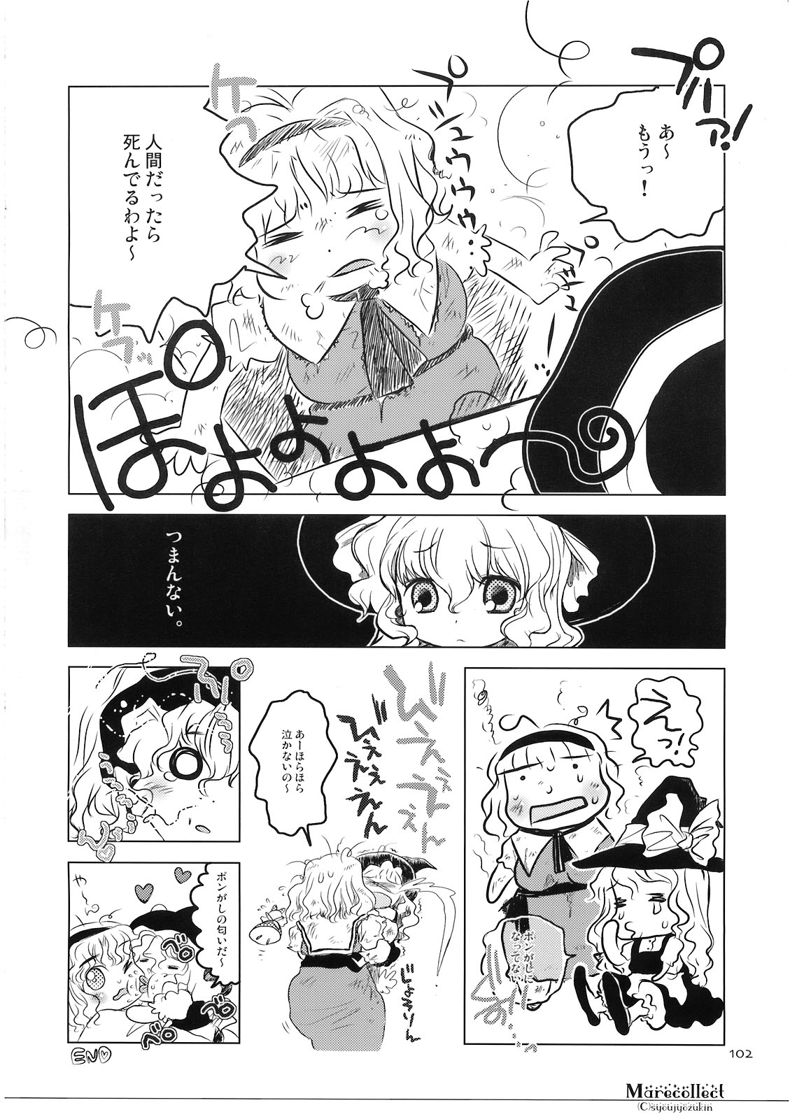 (C74) [少女頭巾 (鳩麦月々)] Marecollect (東方Project)