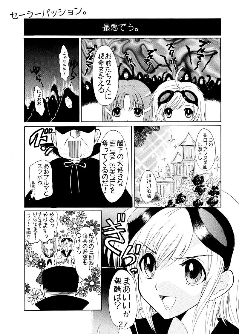 (サンクリ43) [アリコレ -Aria corporation- (零式アリア)] コスモロック!-まるごと1冊かんちょー本です!- (魔法少女リリカルなのは)