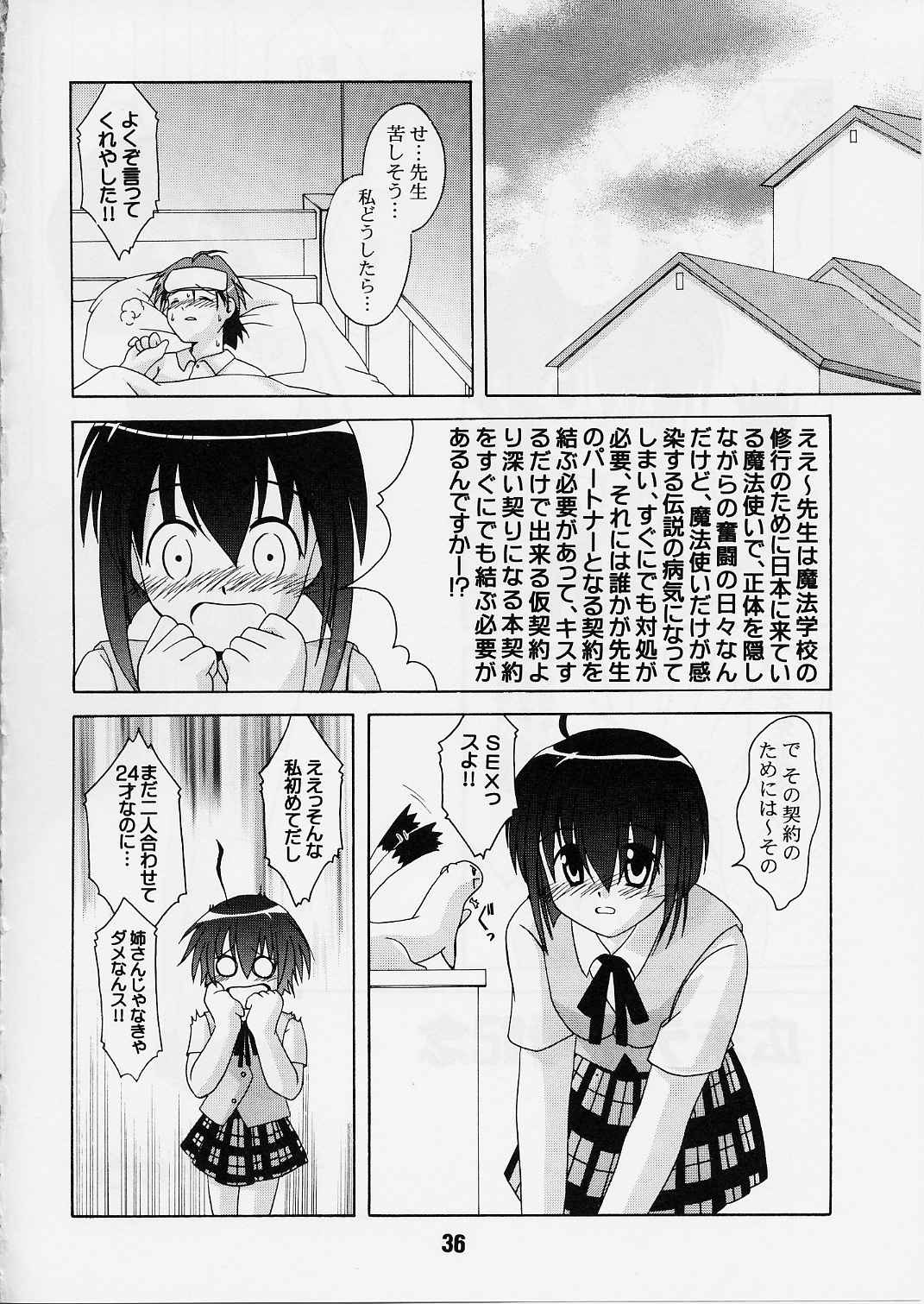 (C65) [篠原重工 (よろず)] ネギな。2 (魔法先生ネギま！)